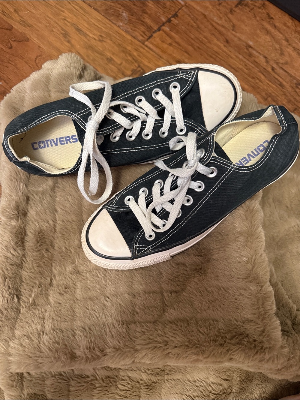 Converse Low Top Sneakers in Black and White